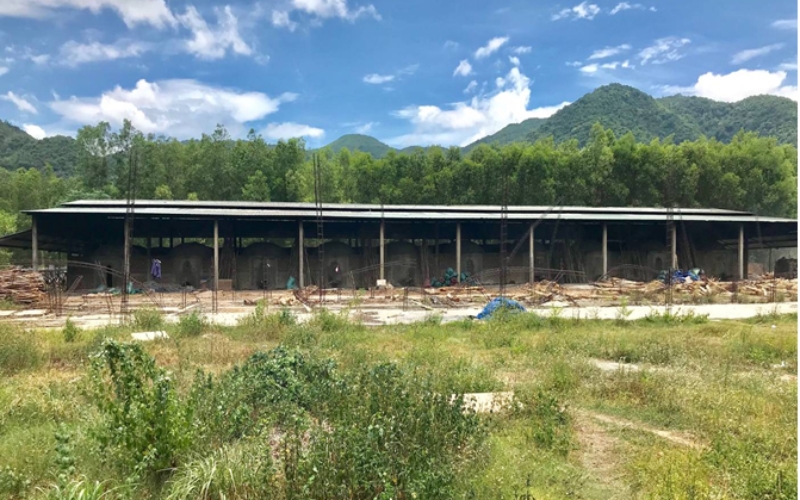 Than trắng Binchotan